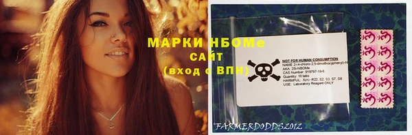 мдпв Гусь-Хрустальный
