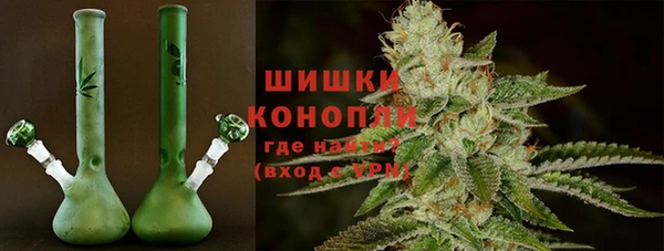 мдпв Гусь-Хрустальный