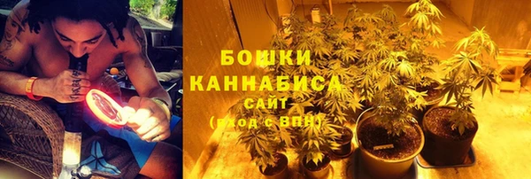 мдпв Гусь-Хрустальный