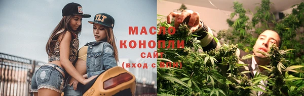 прущие грибы Бабаево