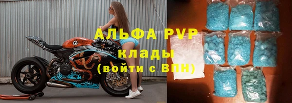 мдпв Гусь-Хрустальный