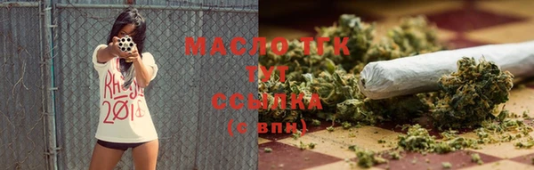 мдпв Гусь-Хрустальный